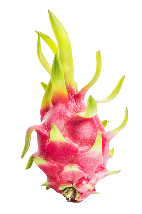 dragon-fruit-dessert-pitaya